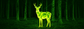 test4-KIBORX X1 Ultra-Compact Thermal Imager